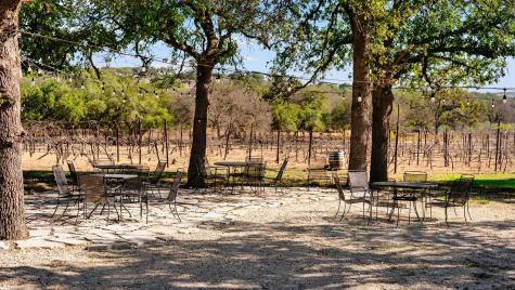 25711 Hamilton Pool Road Round Mountain TX 78663