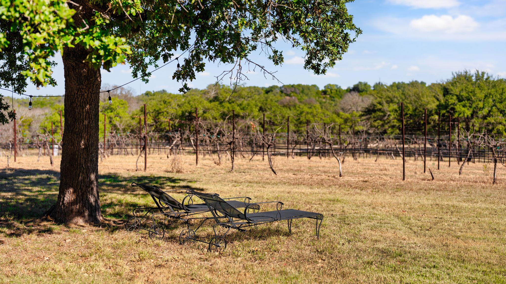 25711 Hamilton Pool Road Round Mountain TX 78663