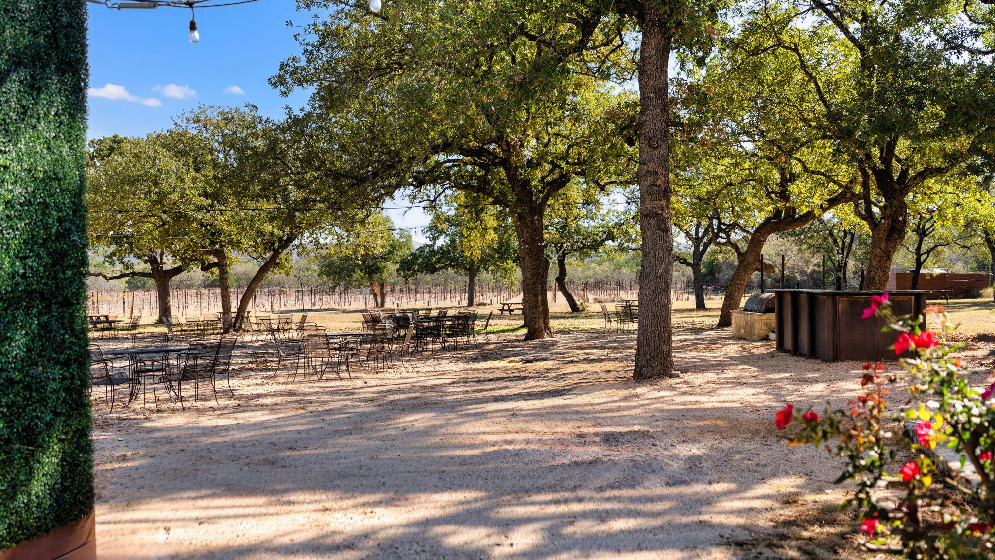 25711 Hamilton Pool Road Round Mountain TX 78663