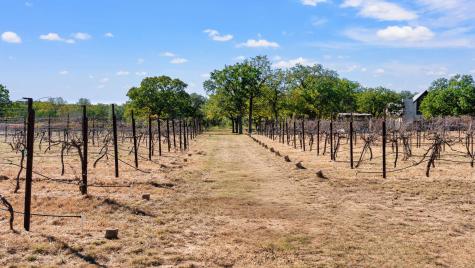 25711 Hamilton Pool Road Round Mountain TX 78663