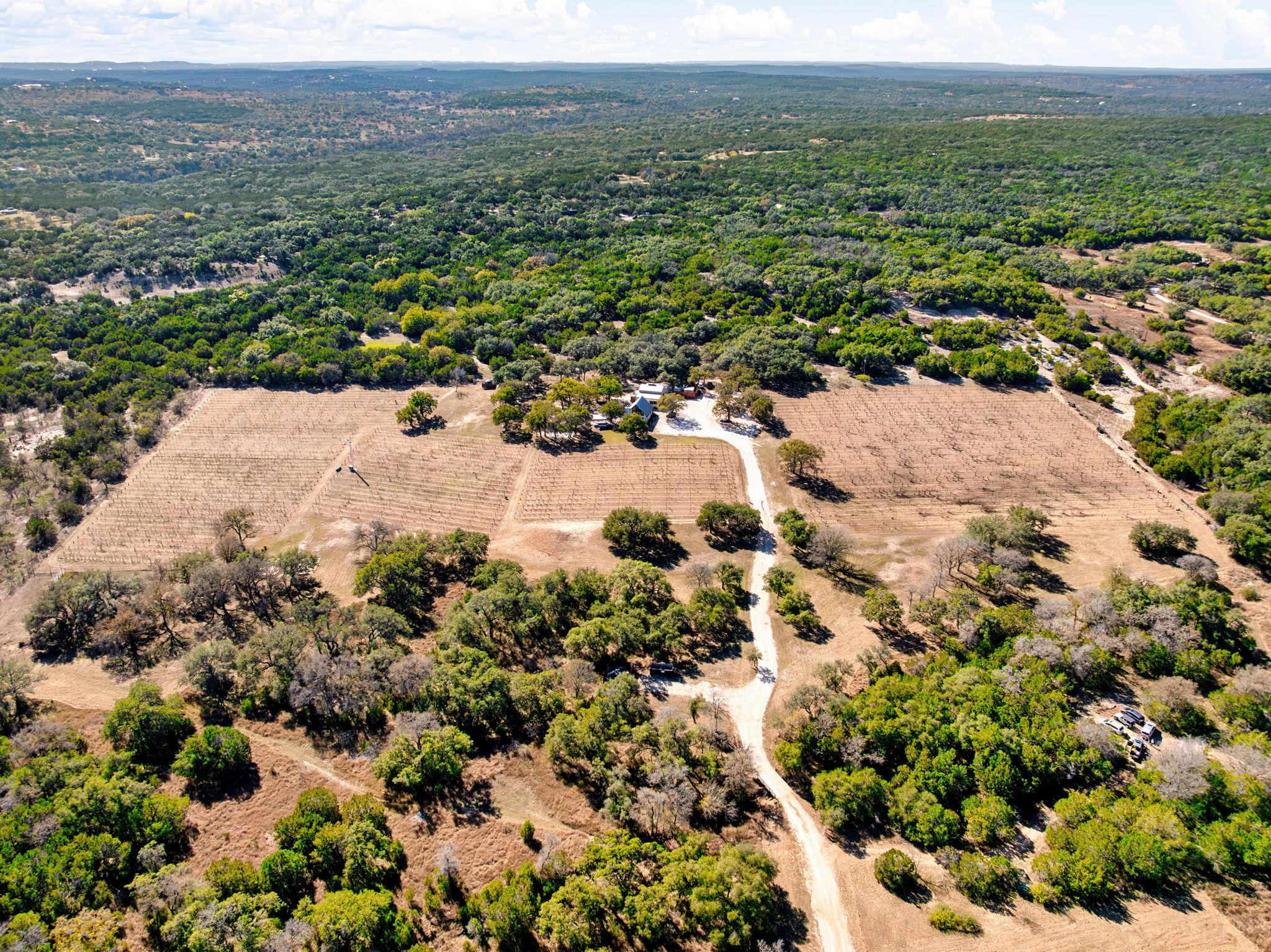 25711 Hamilton Pool Road Round Mountain TX 78663