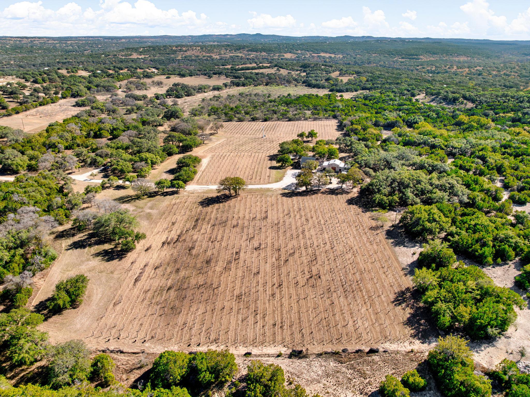 25711 Hamilton Pool Road Round Mountain TX 78663