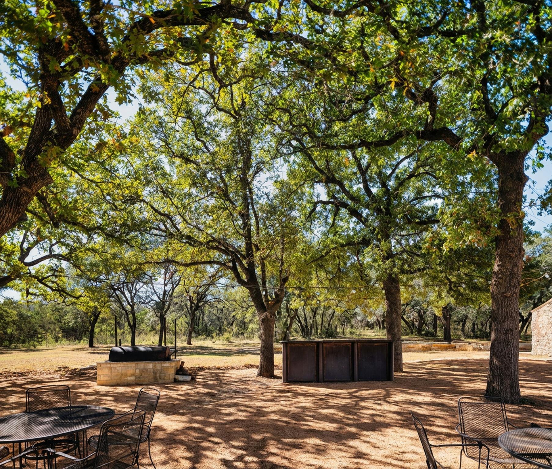 25711 Hamilton Pool Road Round Mountain TX 78663