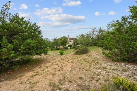 9733 Avion Cove Dripping Springs TX 78620