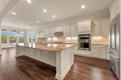 9733 Avion Cove Dripping Springs TX 78620