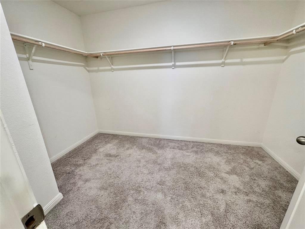102 Gemsbok Road Hutto TX 78634