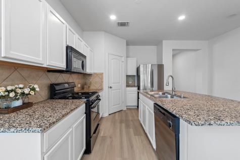 1402 Deodara Drive Cedar Park TX 78613