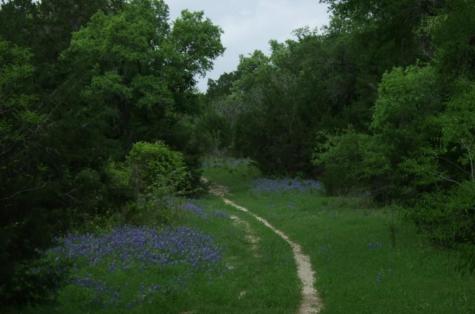 613 Carismatic Lane Austin TX 78748