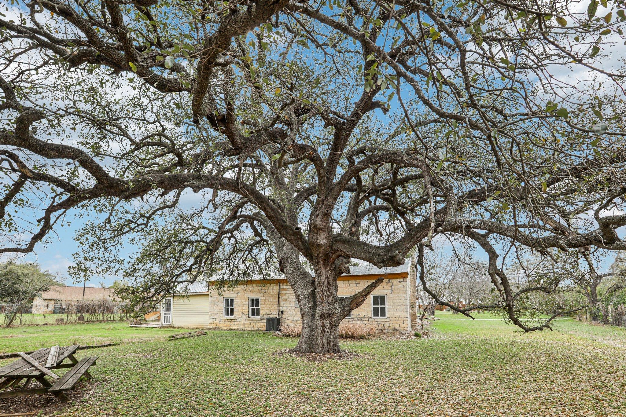 1801 Candee Street Georgetown TX 78626