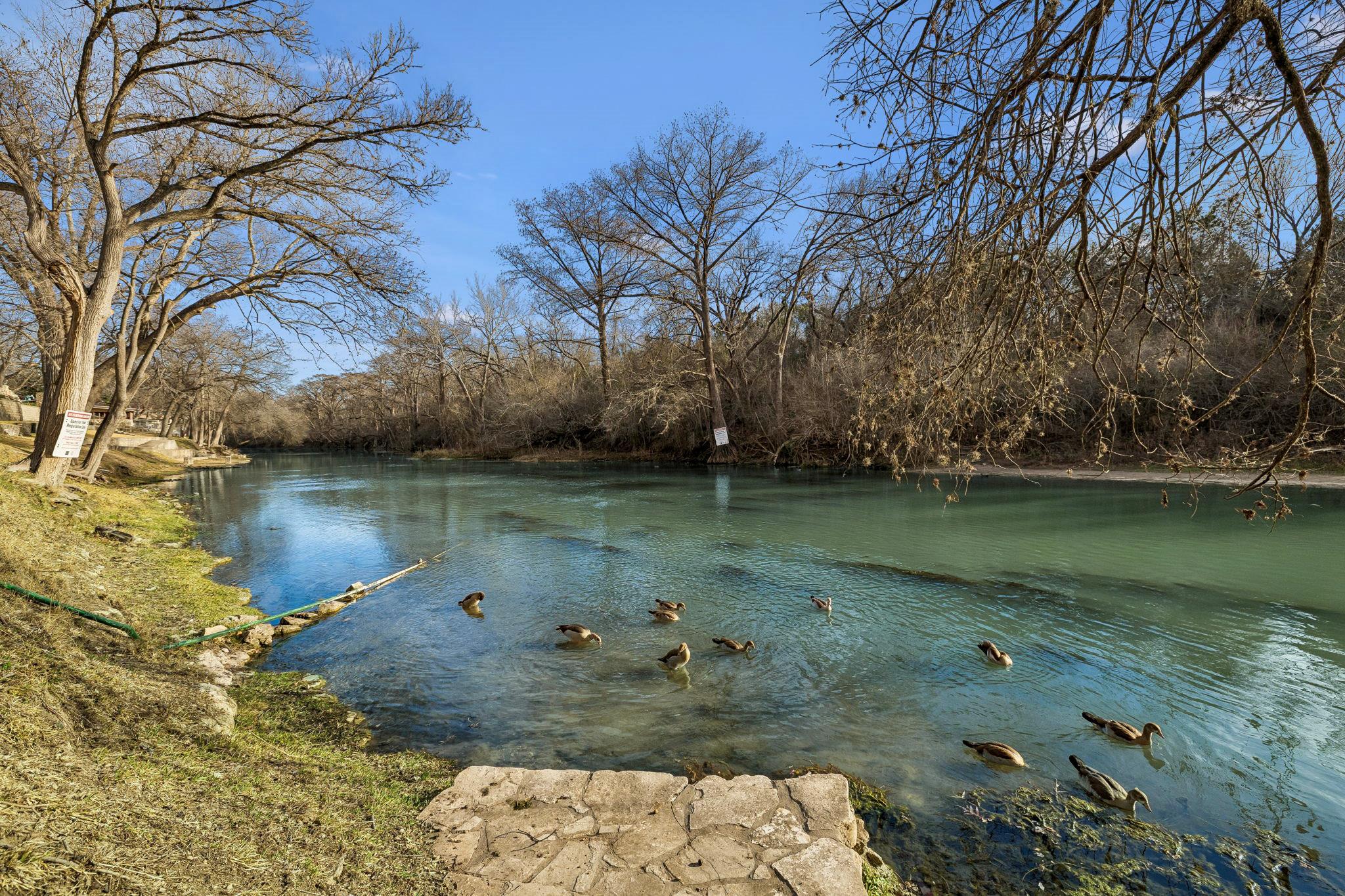 1520 Rocky River Road Canyon Lake TX 78133