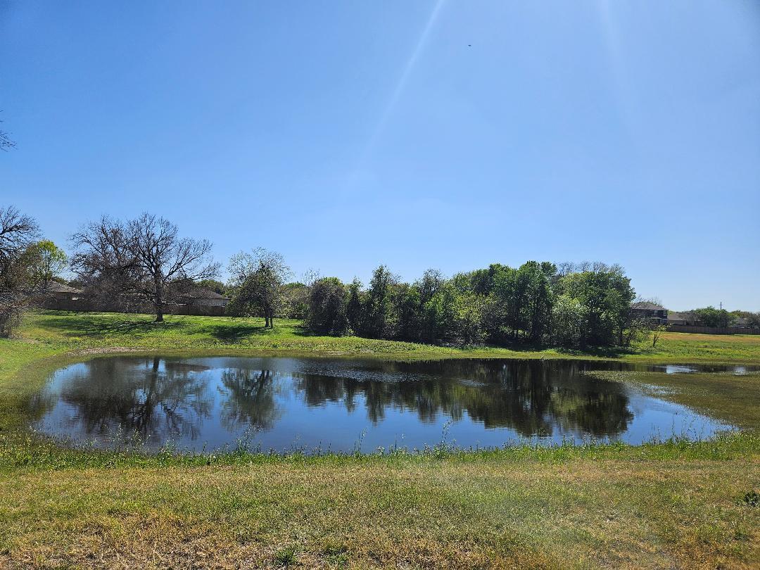 217 Killian Loop Hutto TX 78634
