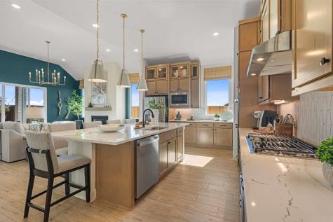 205 Purple Muhly Road Georgetown TX 78633