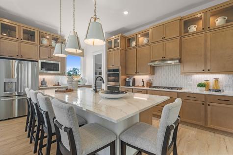205 Purple Muhly Road Georgetown TX 78633