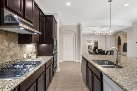 18117 Painted Horse Cove Austin TX 78738