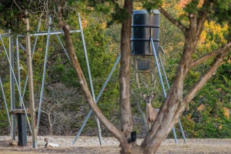 169 Royal Oaks Hill Fredericksburg TX 78624