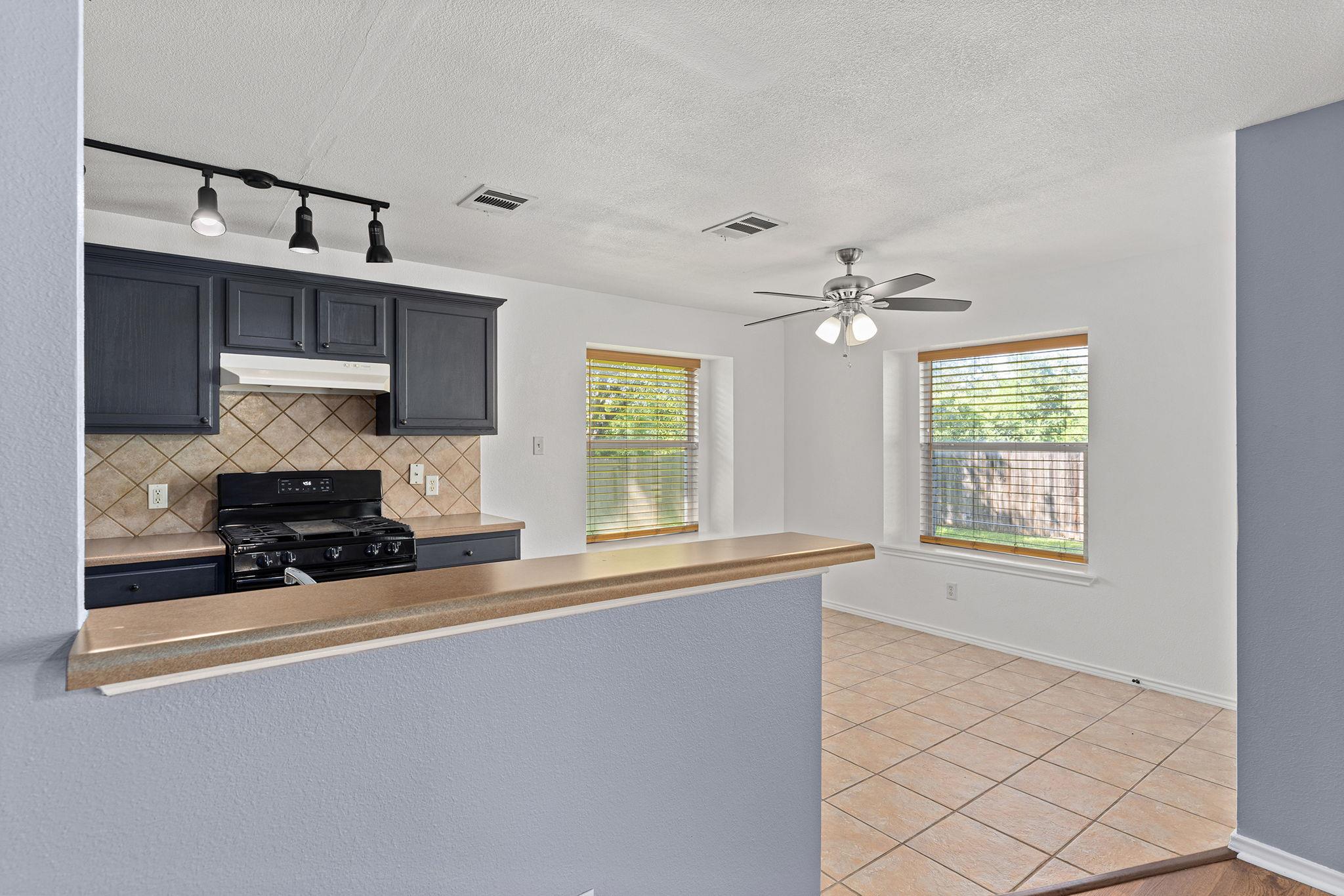 1110 Sundrop Place Round Rock TX 78665