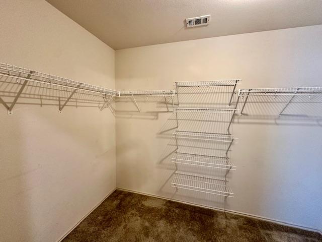15013 Sassafras Trail Pflugerville TX 78660