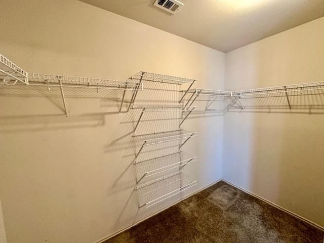15013 Sassafras Trail Pflugerville TX 78660