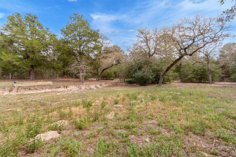135 Huskey Trail Paige TX 78659
