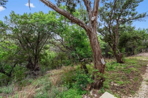 17621 Hunters Hollow Jonestown TX 78645