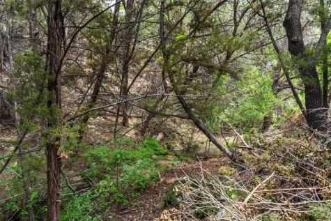 17621 Hunters Hollow Jonestown TX 78645