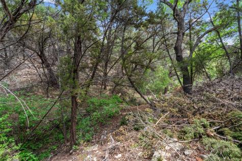17621 Hunters Hollow Jonestown TX 78645