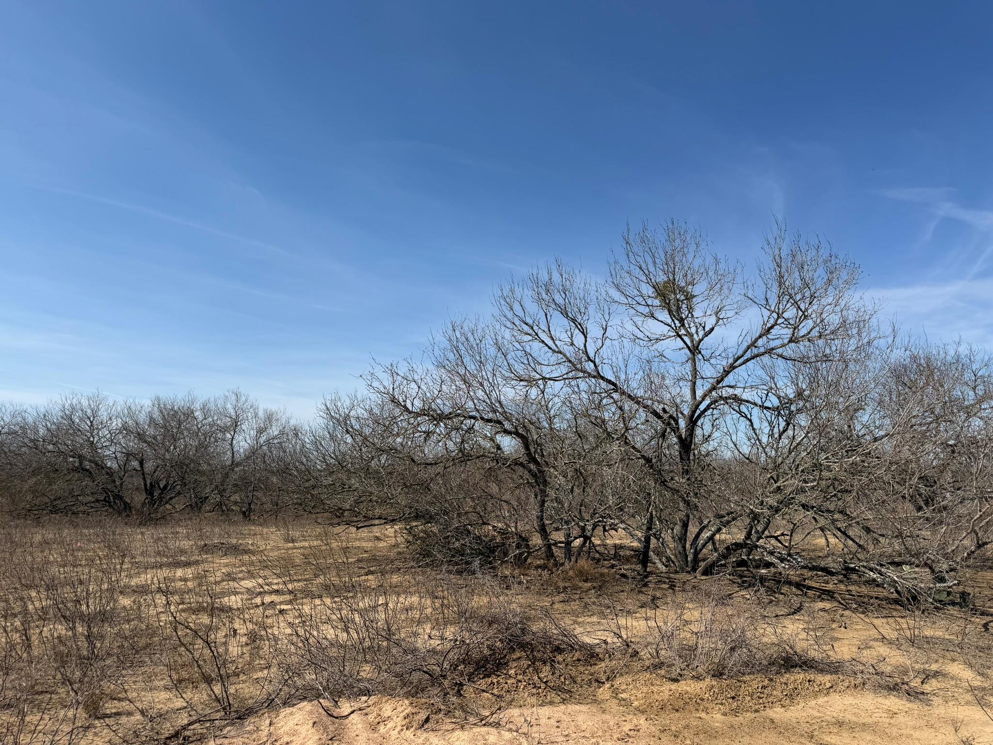 1488 Barth Road Dale TX 78616