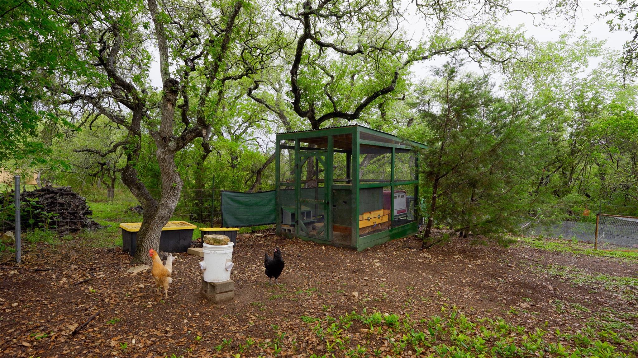 612 Canyon Rim Drive Dripping Springs TX 78620
