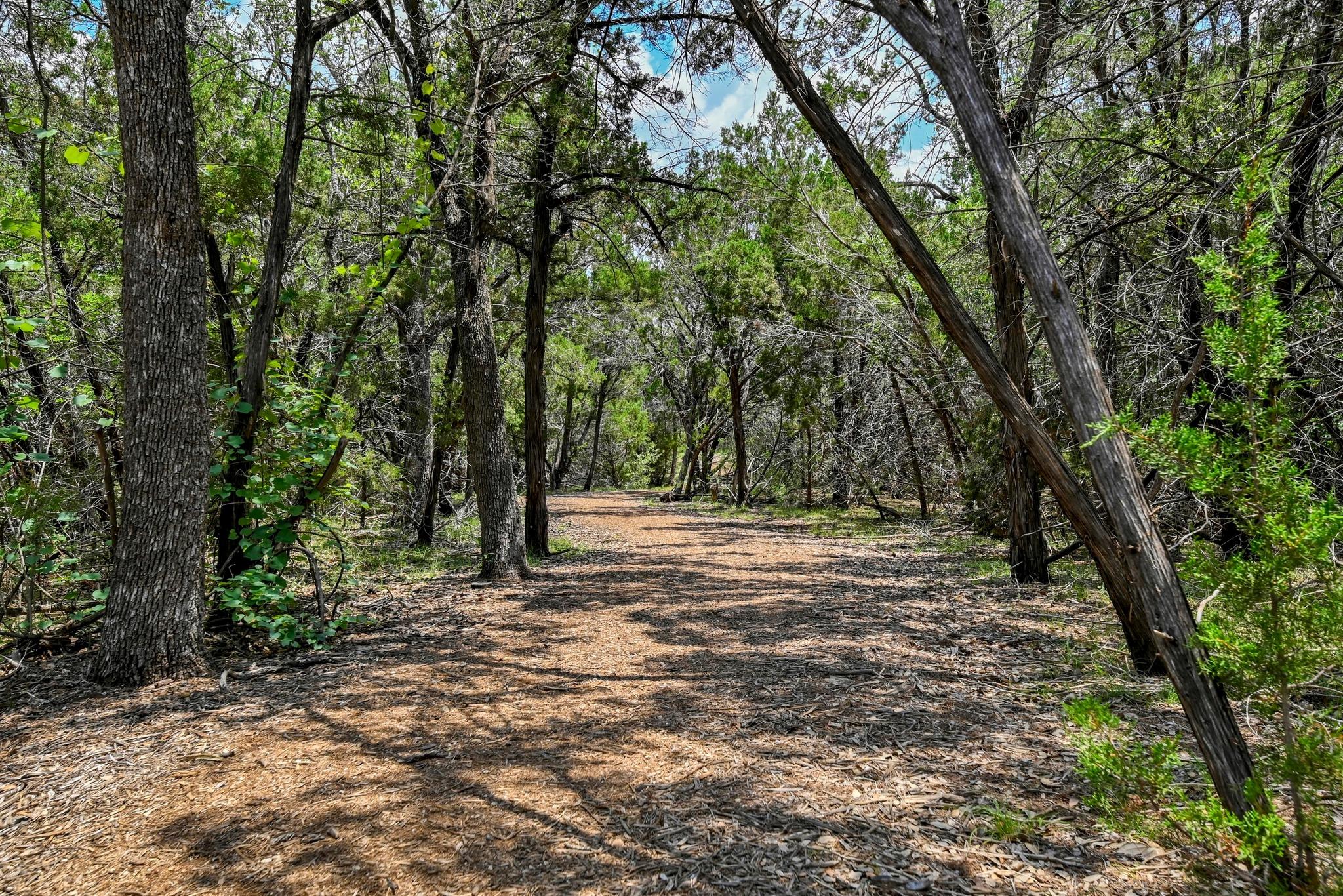1209 Bluewood Bend Leander TX 78641
