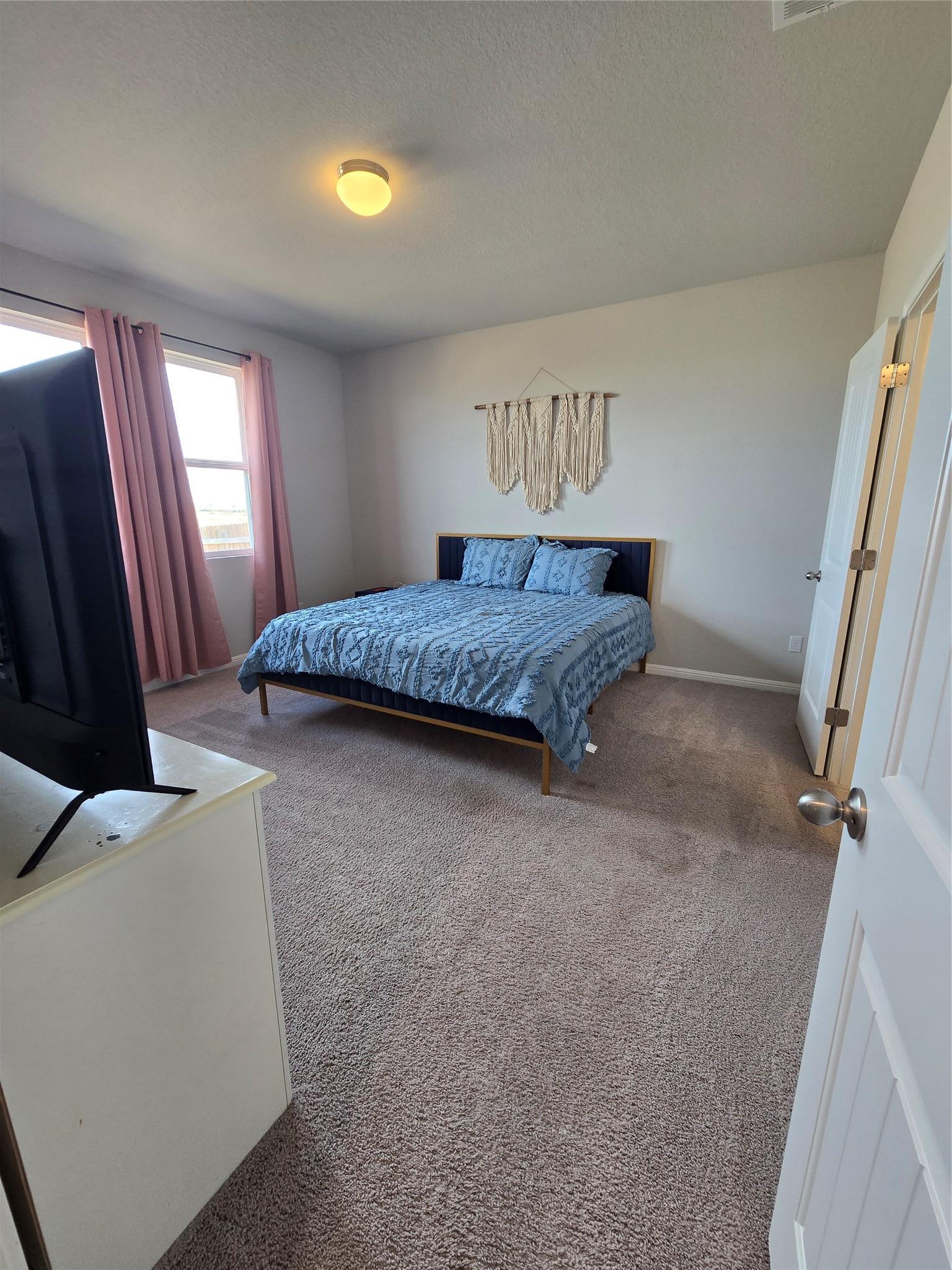 727 Gray Fox Loop Hutto TX 78634