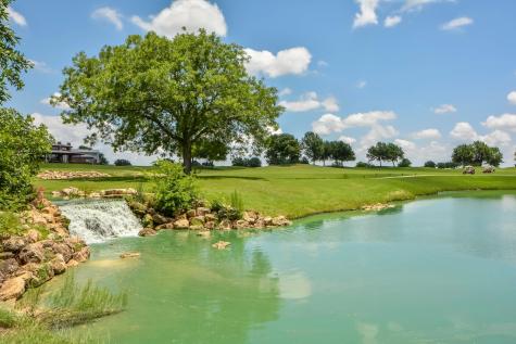 540 Blue Agave Lane Georgetown TX 78626