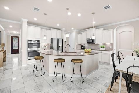 540 Blue Agave Lane Georgetown TX 78626