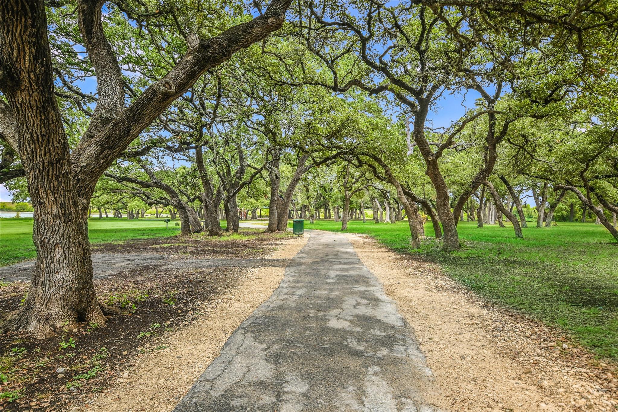 1317 Aquilla Lane Leander TX 78641