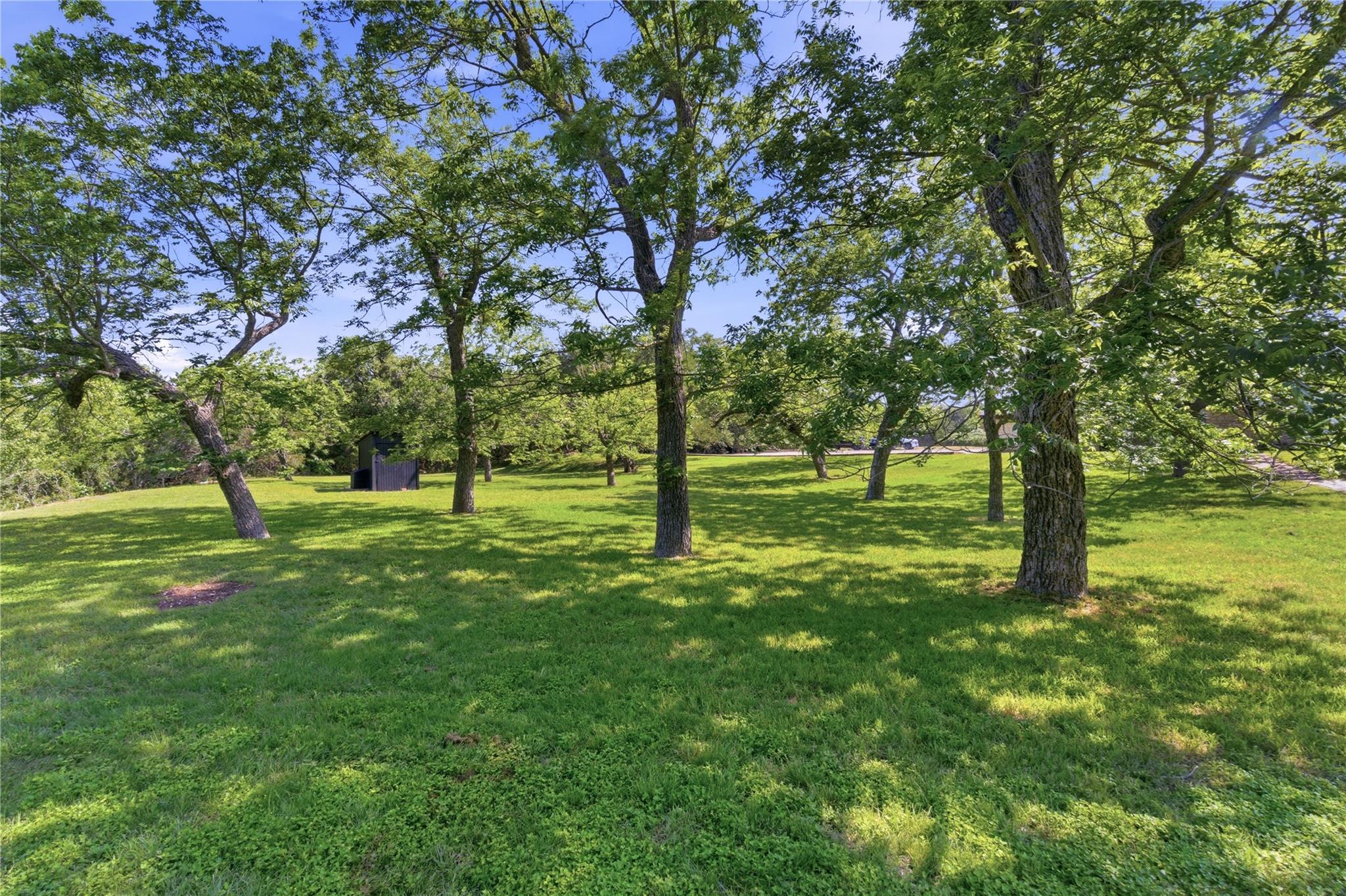 8203 N Madrone Trail N Austin TX 78737