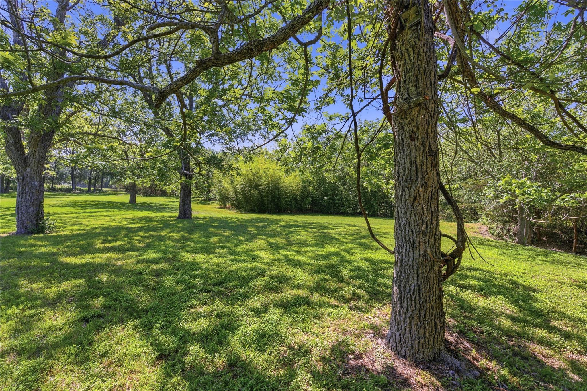 8203 N Madrone Trail N Austin TX 78737