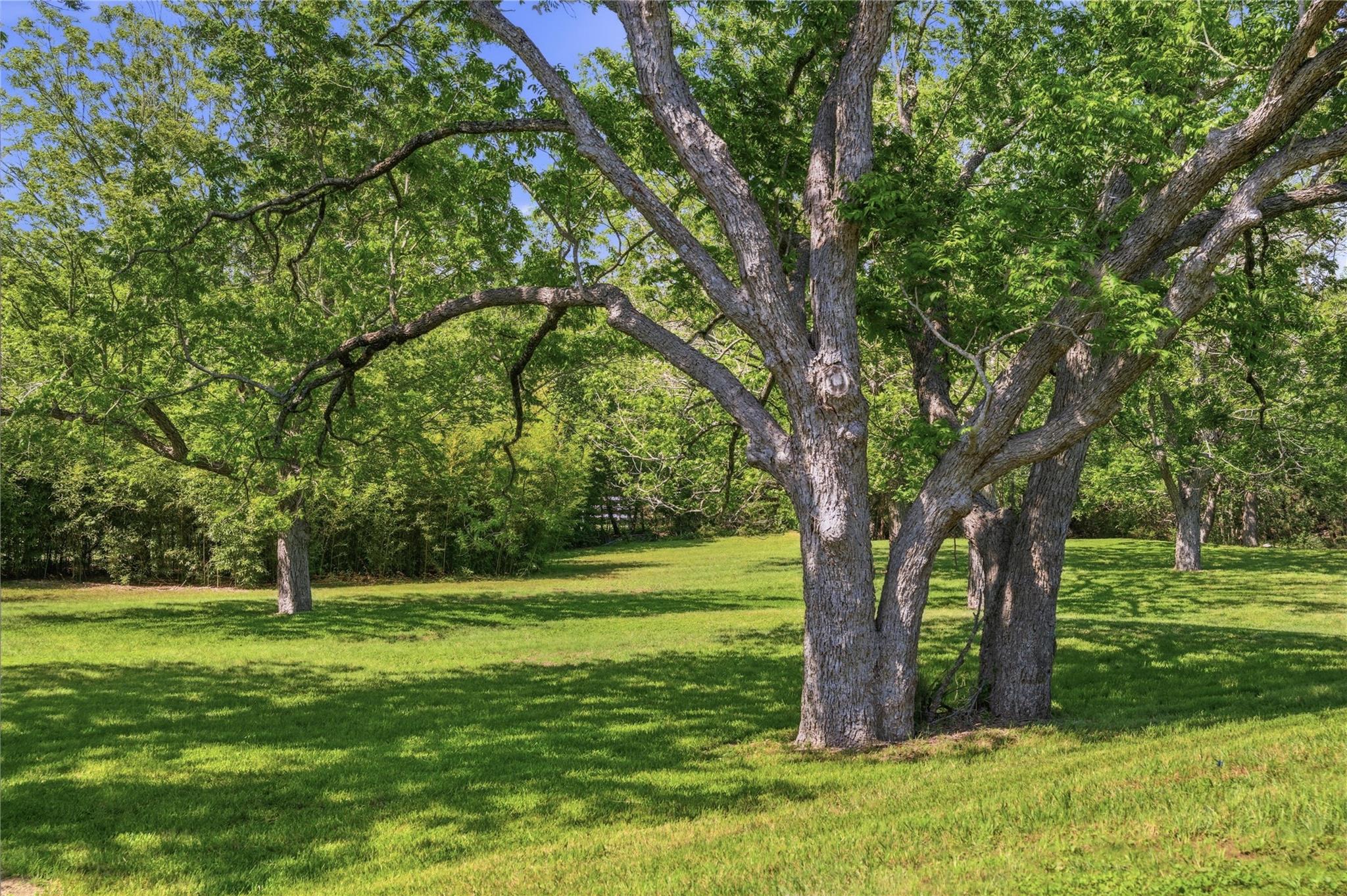 8203 N Madrone Trail N Austin TX 78737