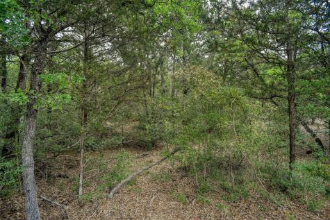 125 Turkey Trot Road Smithville TX 78957