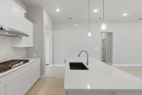 19128 Ariel Elena Way Pflugerville TX 78660