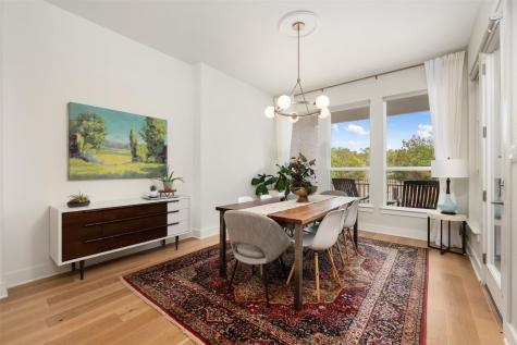 438 Pear Tree Lane Austin TX 78737