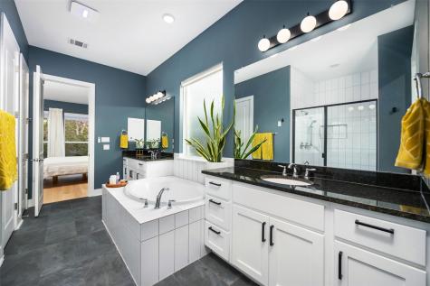 438 Pear Tree Lane Austin TX 78737