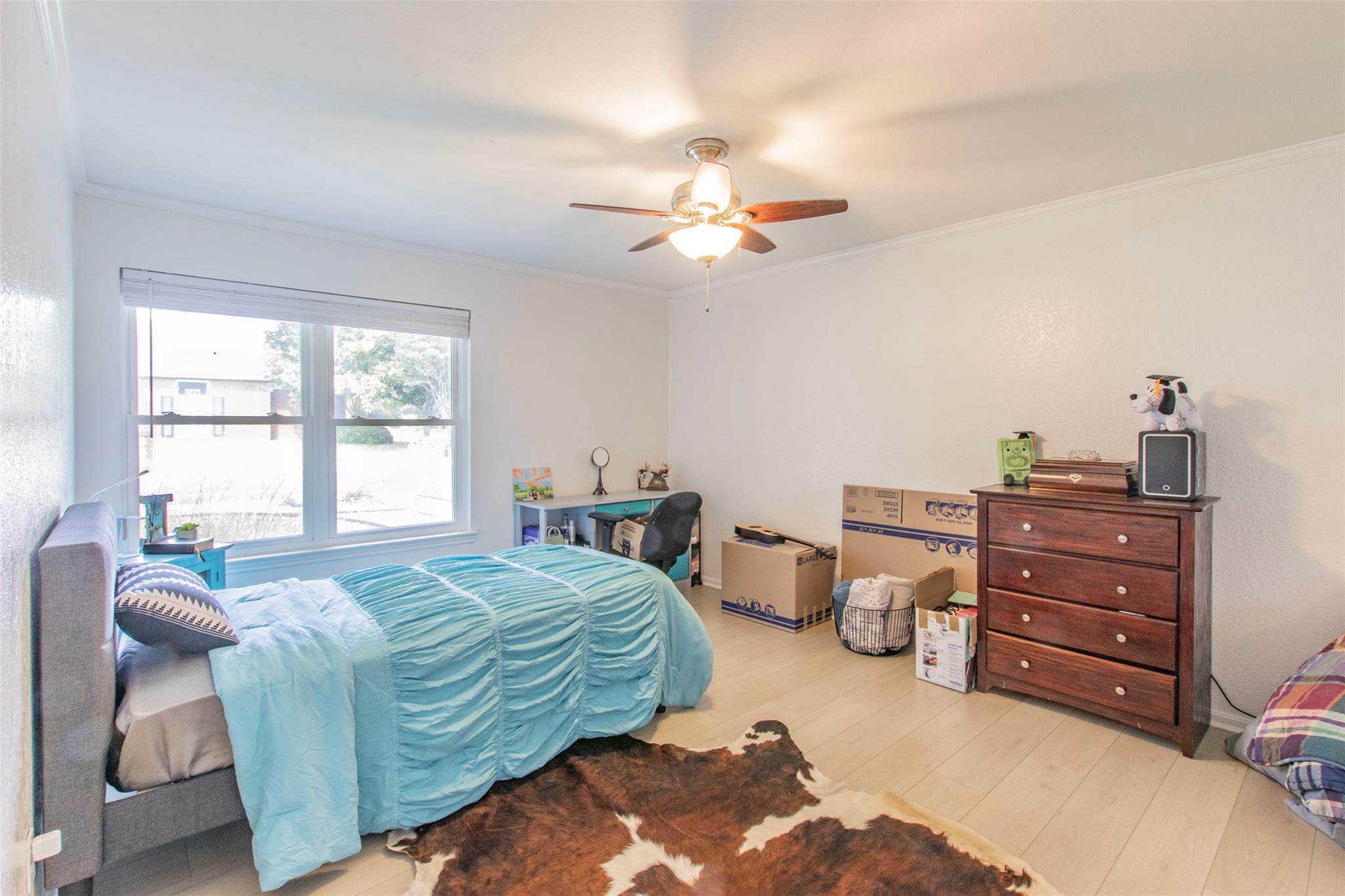 2400 Braemar Cove Austin TX 78747