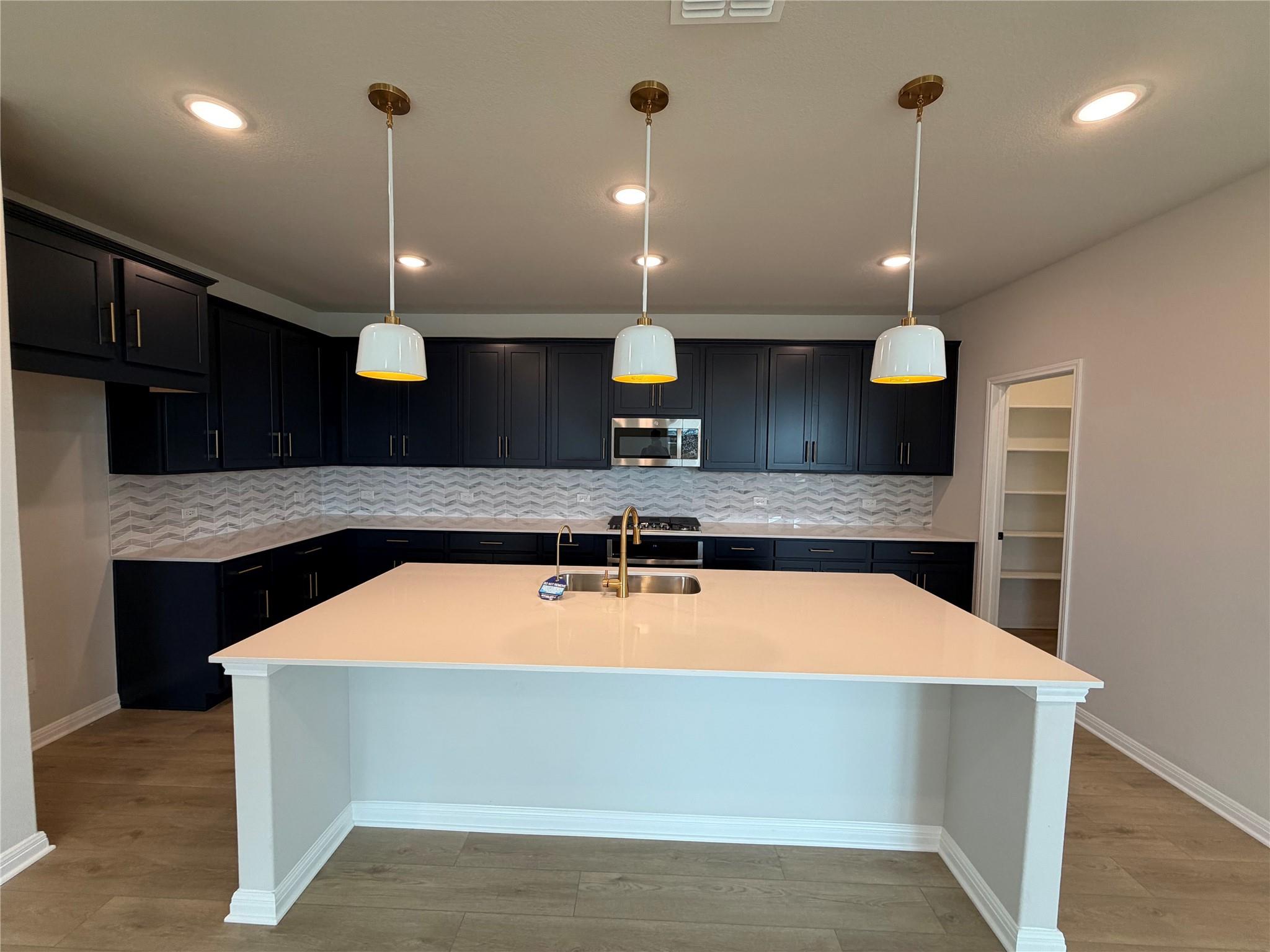 213 Leeland Drive Liberty Hill TX 78642