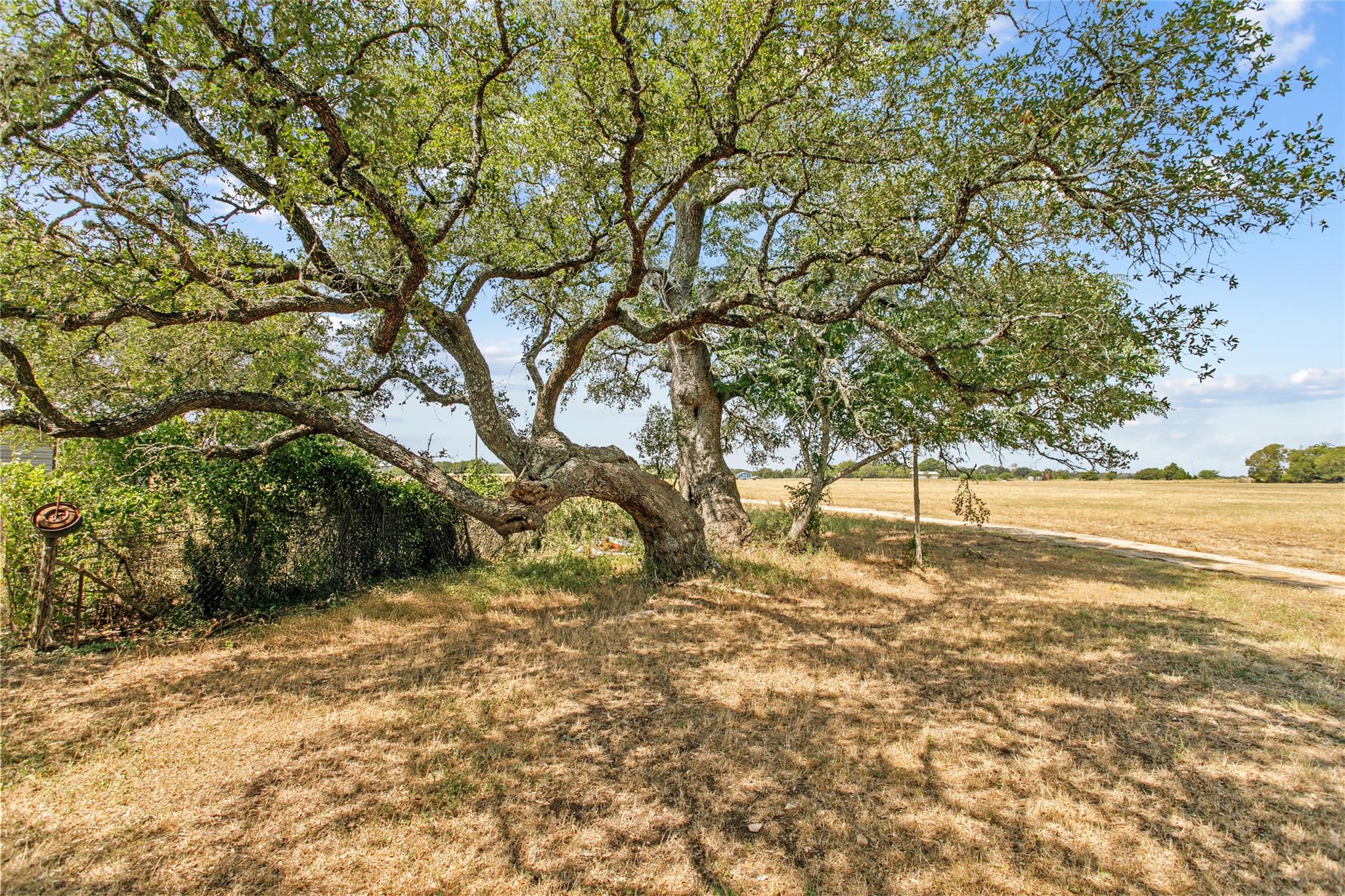 1408 State Park Road Lockhart TX 78644