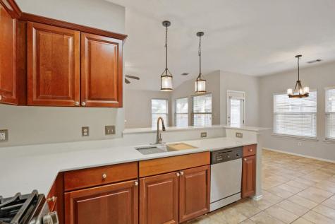 1506 Campanella Cove Round Rock TX 78665