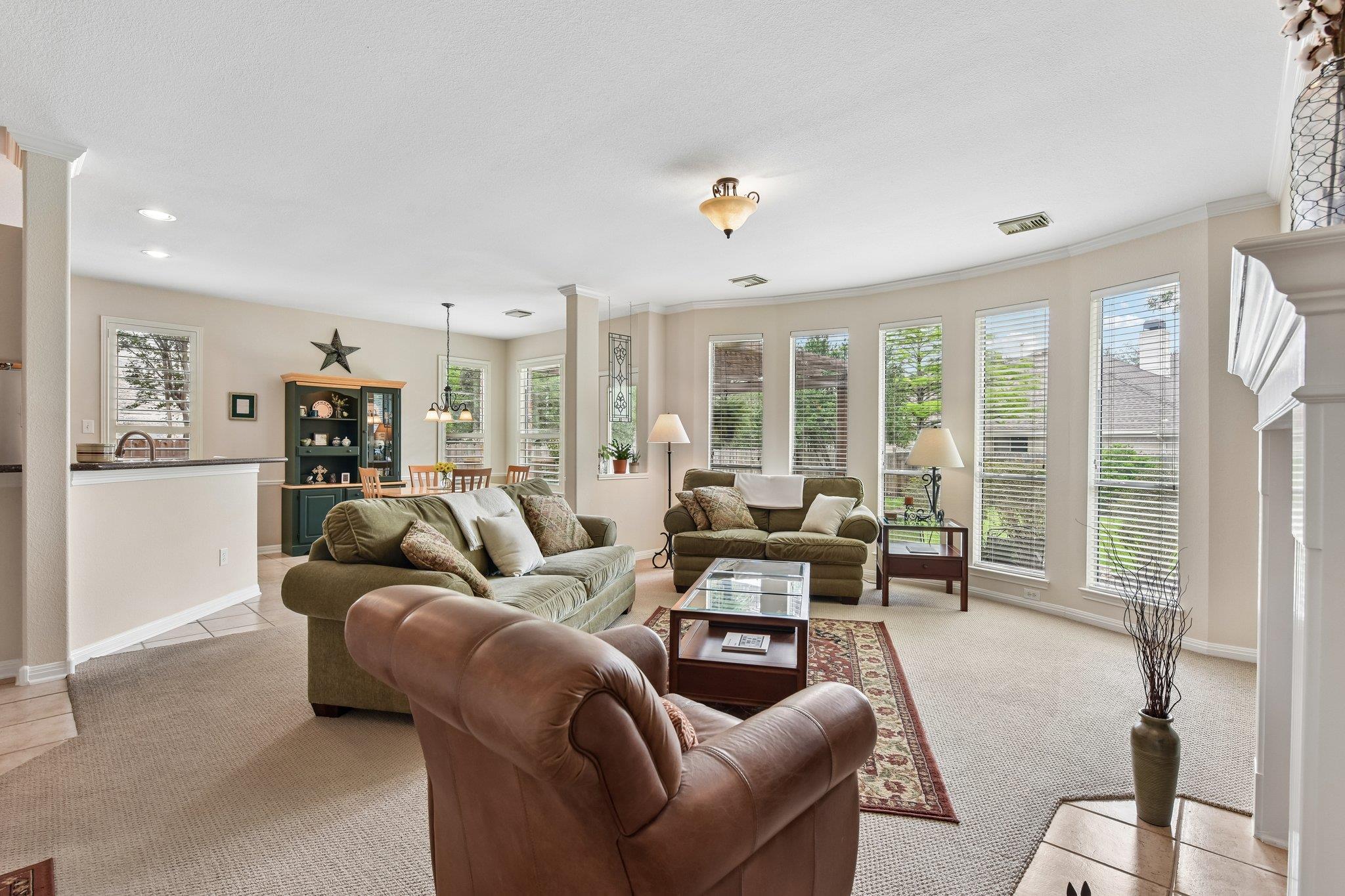 10905 Palgrave Court Austin TX 78739