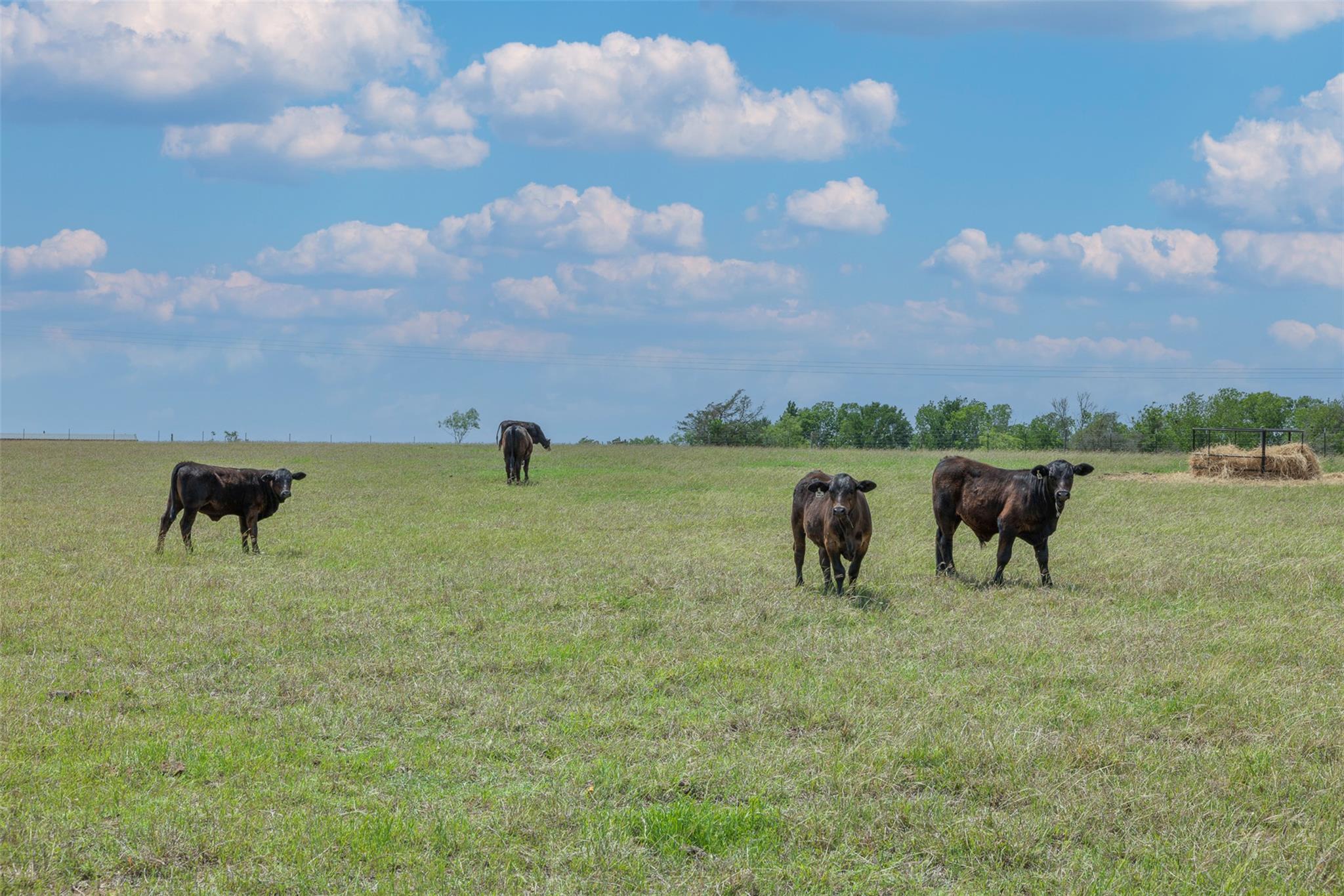 2232 Fm 975 Caldwell TX 77836