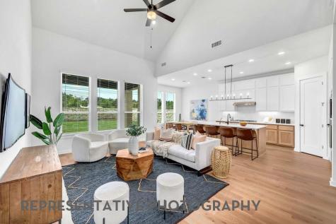 1712 Crimson Sunset Drive Georgetown TX 78628
