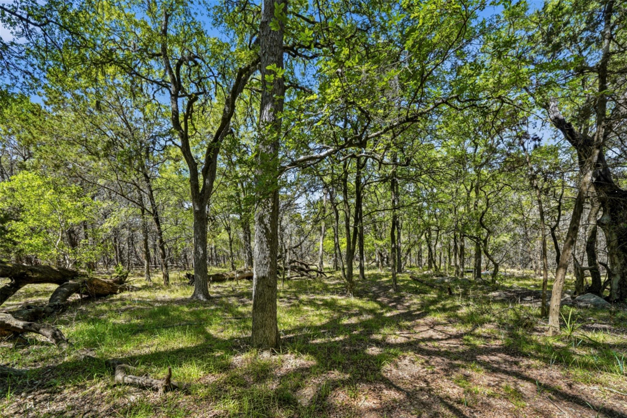 907 Deertrail Drive San Marcos TX 78666
