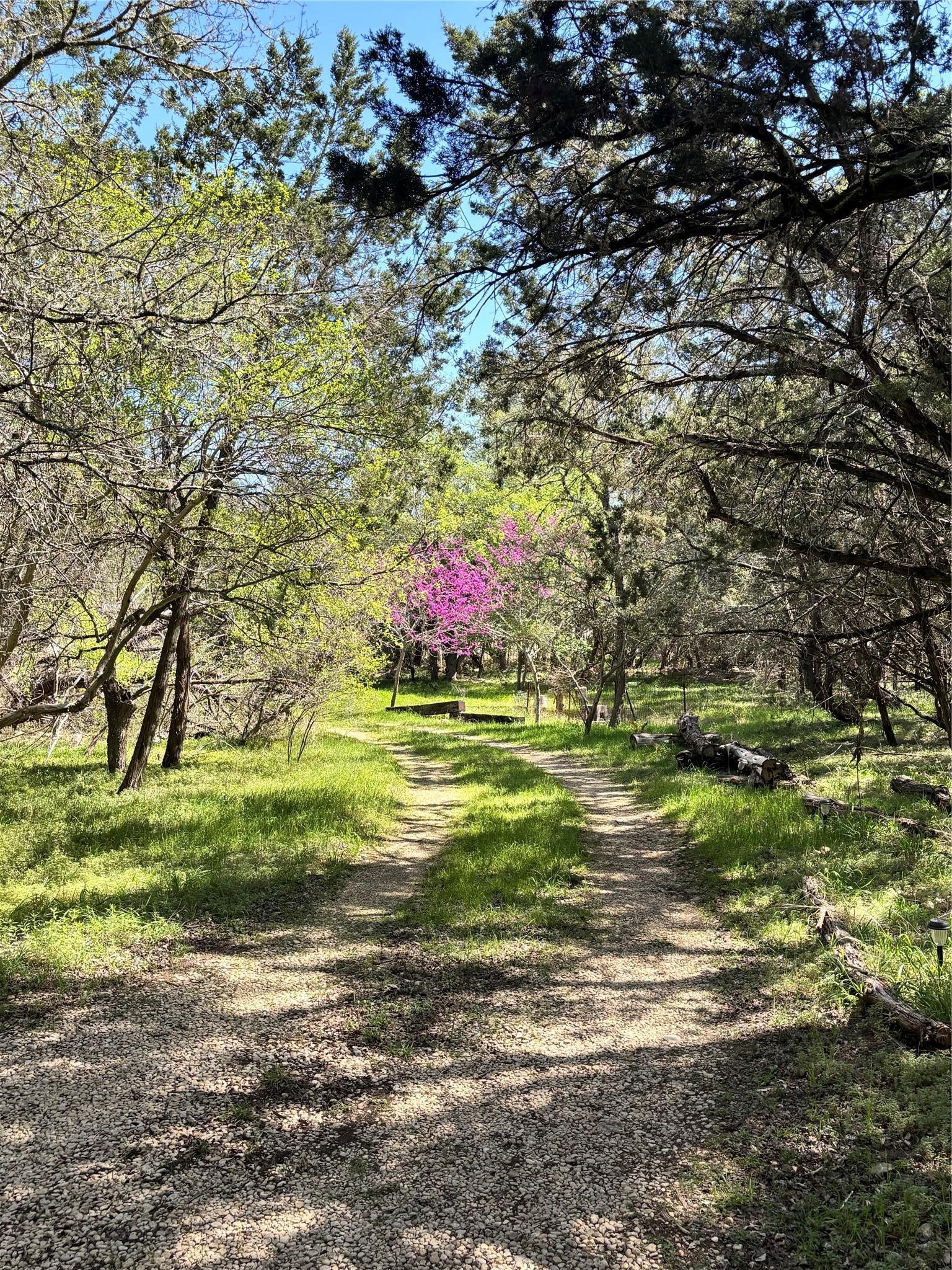 907 Deertrail Drive San Marcos TX 78666