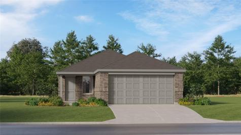 339 Dragonfly Park Hutto TX 78634